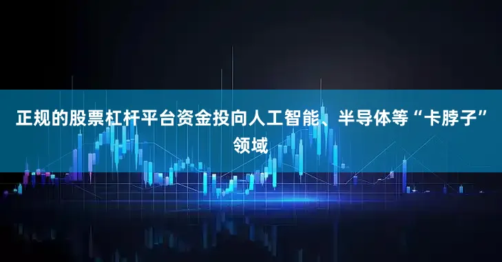 正规的股票杠杆平台资金投向人工智能、半导体等“卡脖子”领域
