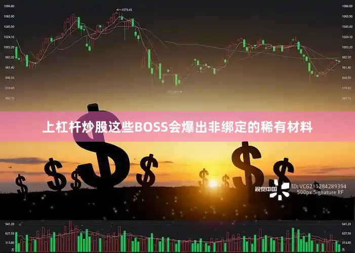 上杠杆炒股这些BOSS会爆出非绑定的稀有材料